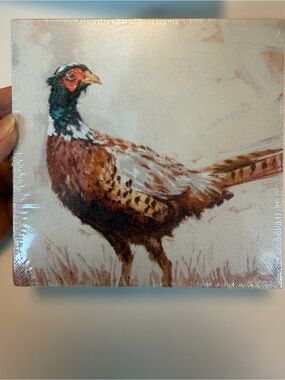 Pheasant Canvas Art Print - Brown, White & Green